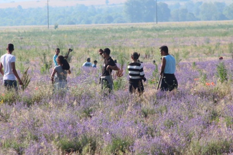 Всяка година около 1 6 млн души в Европа се диагностицират