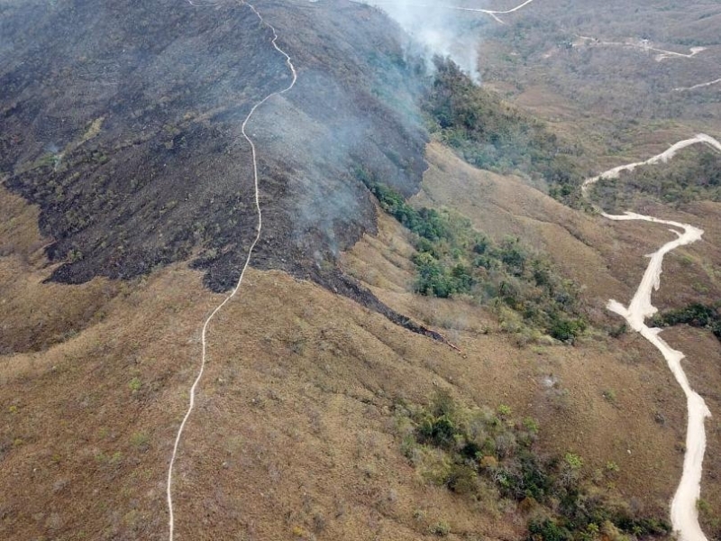 Броят на пожарите в Амазонската джунгла продължава да расте въпреки