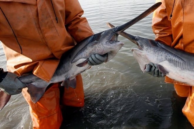 Кметът на Враца Калин Каменов излезе с важна новина за