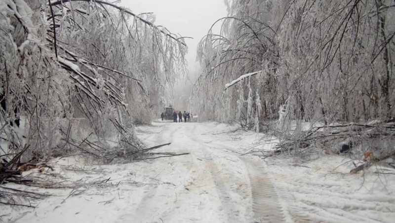 Проходът Петрохан продължава да е блокиран от паднали дървета научи