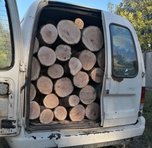 Бракониер е бил спипан да превозва незаконни дърва в Козлодуй