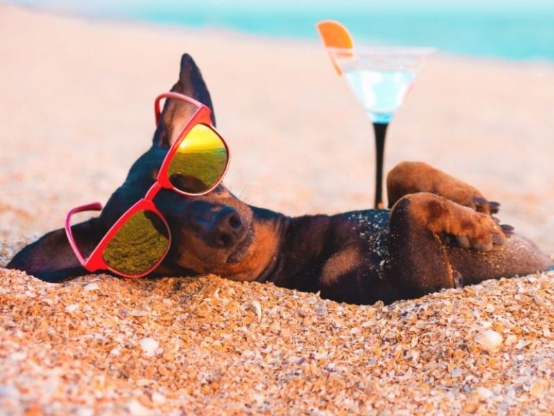 През деня ще преобладава слънчево време След обяд главно над Западна