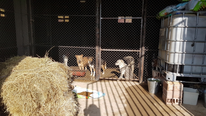 Кметът на Община Мездра инж Генади Събков инспектира временния приемник