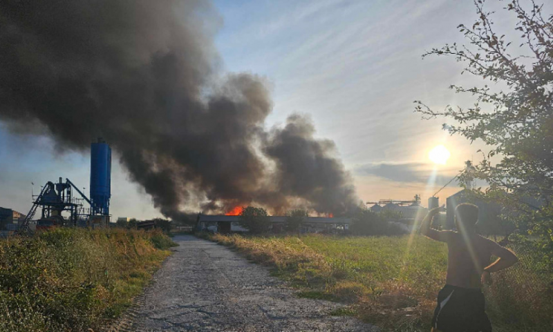 Големи пожари са вилнели снощи в две видински села научи