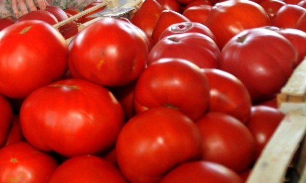 Турция и Гърция са водещи дестинации за доставка на домати