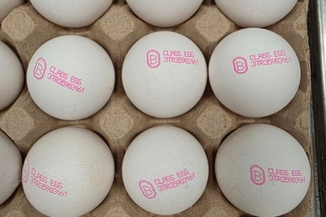 България върна близо 1.3 милиона яйца в Турция