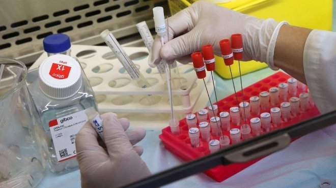 Българската академия на науките работи усилено по своята ваксина срещу