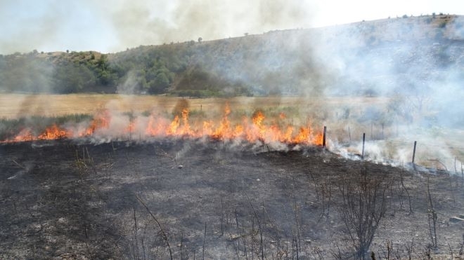 Бандит запали 200 декара земеделска земя във врачанско село съобщиха
