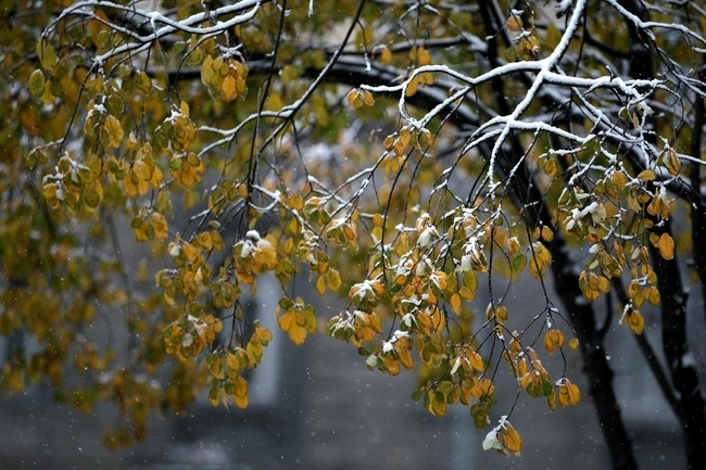 Днес облачността ще е значителна и ще има валежи от