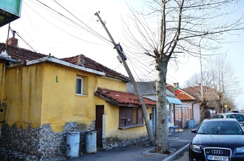 Силният вятър който духа от сутринта в Монтанско е съборил