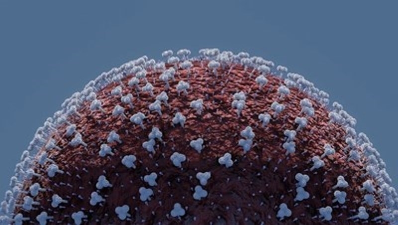 Броят на потвърдените случаи на коронавирус в Германия е нараснал