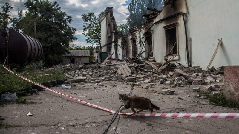Лидери от десетки страни по света и ръководители на международни
