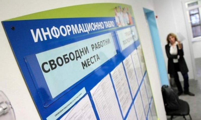 Търсите си работа? Вижте свободните позиции във Видинско