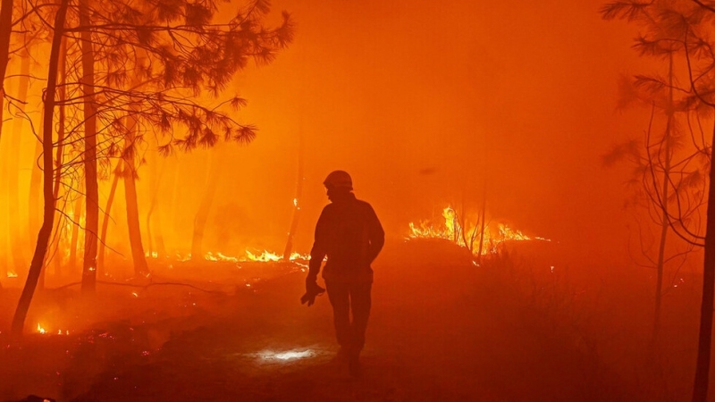 Нови пожари обхванаха вчера Югоизточна Франция като изпепелиха 350 хектара