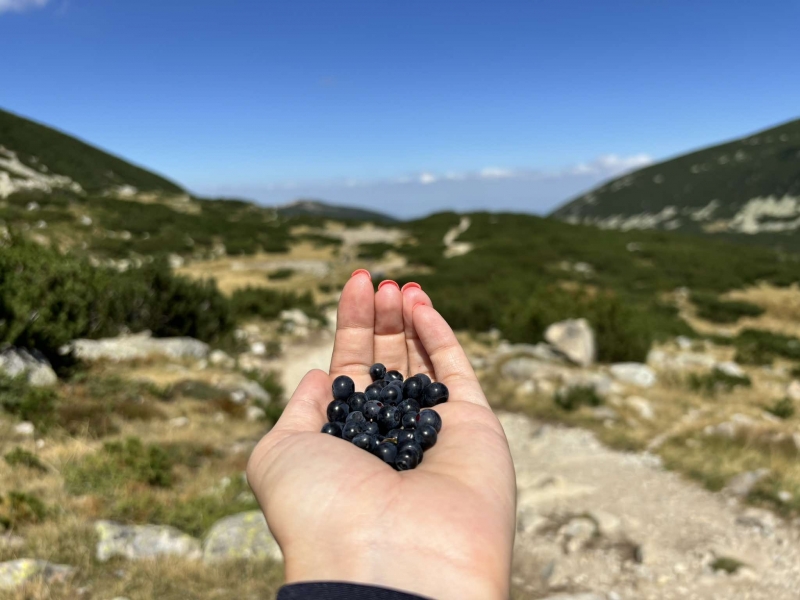 През нощта ще преобладава ясно и почти тихо време Утре