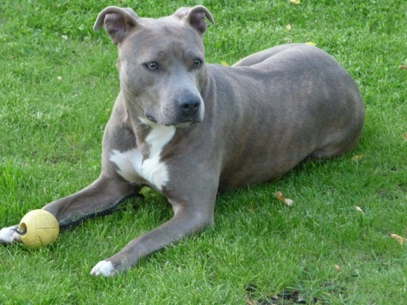 Жена и синът ѝ са открити мъртви в дома им