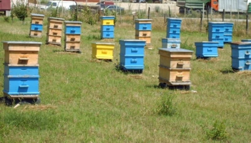 Неизвестен извършител е задигнал кошери съобщиха от полицията във Враца