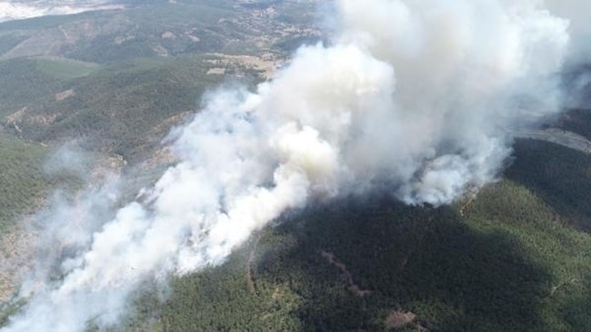 Няколко горски пожара се разразиха днес в северозападния турски окръг