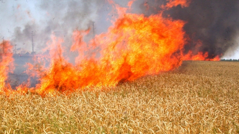 50 декара пшеница изгоряха край Крушовица съобщиха от МВР във