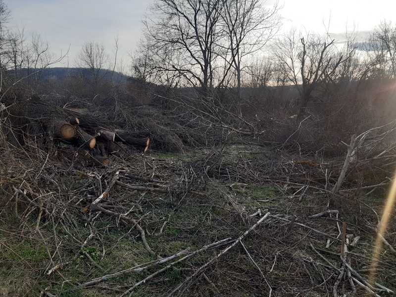 Регионалната инспекция по околната среда и водите в Монтана погна
