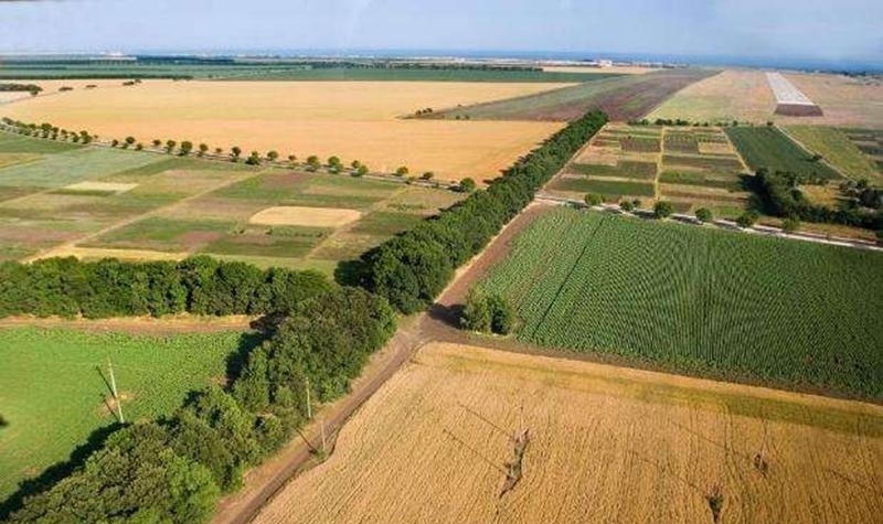 Най-големият собственик на земеделска земя в България „Ставен“ АД вече