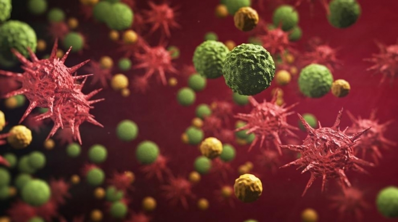 Новият вариант на пандемичния SARS-CoV-2 коронавирус, който се разпространява бързо