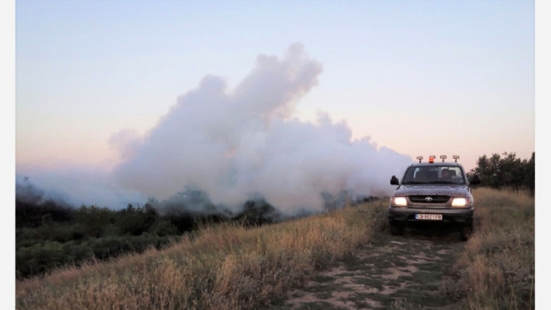 Рано тази сутрин бе извършено комбинирано третиране против комари във