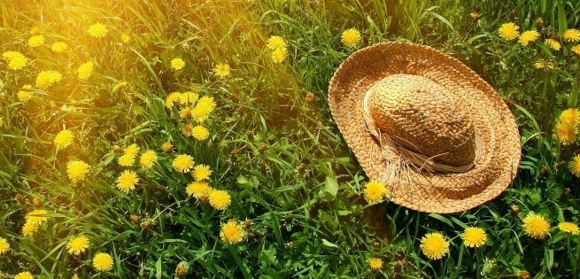 През нощта ще е предимно ясно с временни увеличения на