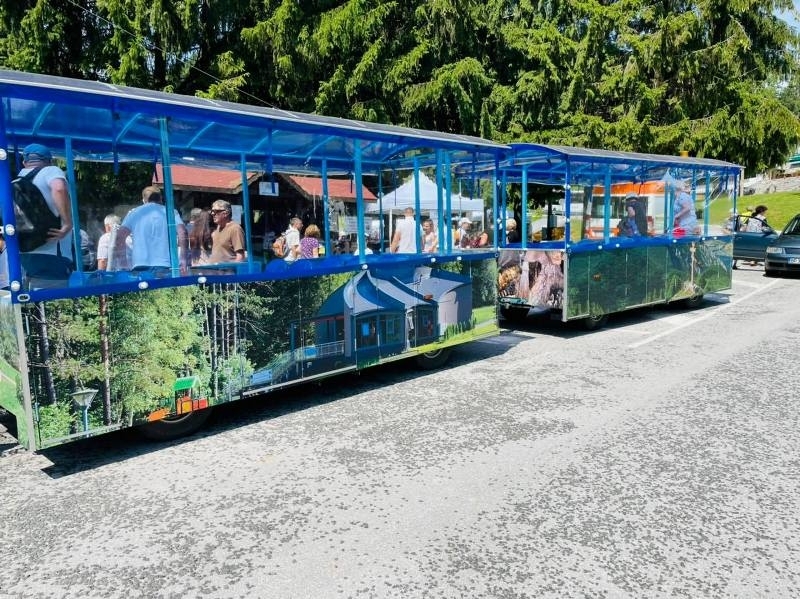 Атракционните влакчета които обслужват вътрешните линии на фолклорния събор Леденика