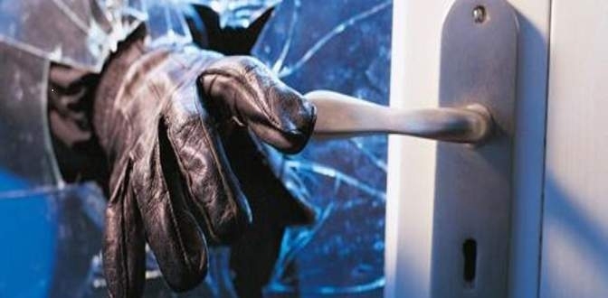 Рано сутринта вчера в монтанското село Габровница е извършен брутален