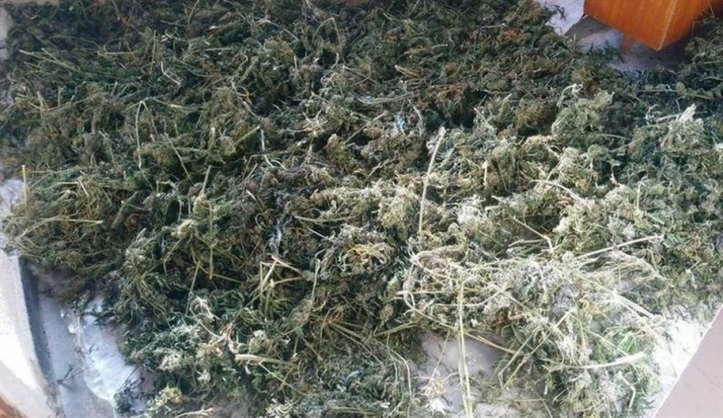 Поредна специализирана полицейска операция насочена срещу разпространението и употребата на