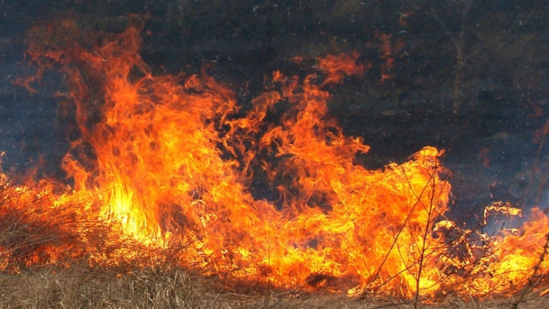 Вчера след обяд е горял неожънат земеделски блок с царевица