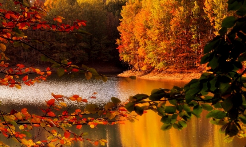 Прогнозата за времето до края на октомври е за предимно