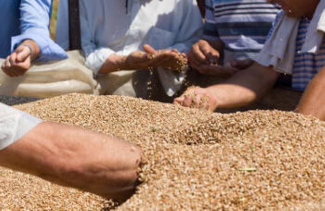 Известно стабилизиране и намаляване на цените на основните зърнени стоки на световните