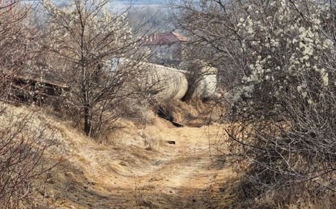 Очаква се в неделя в Пирот да отменят извънредното положение