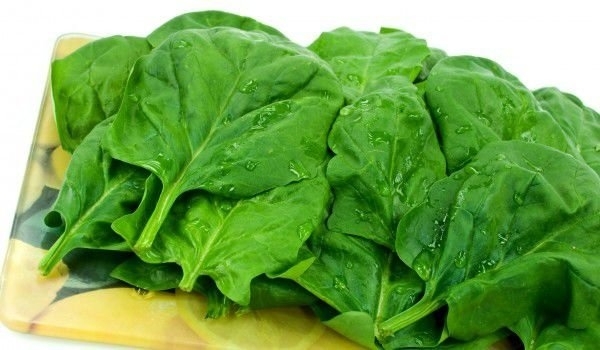 Запазването на младостта и красота може да стане с помощта