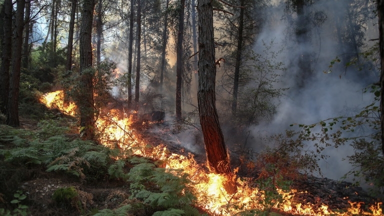 Големи горски пожари бушуват в четири турски окръга предаде турската