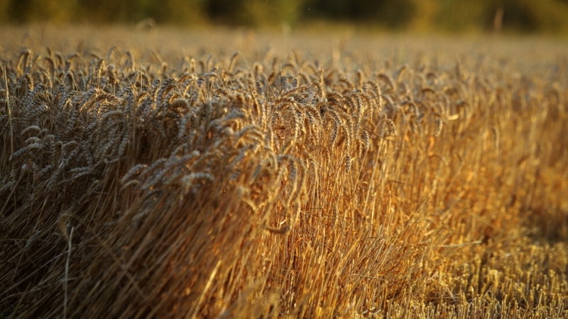 Министерството на финансите ще отпусне допълнително 63 млн лв за