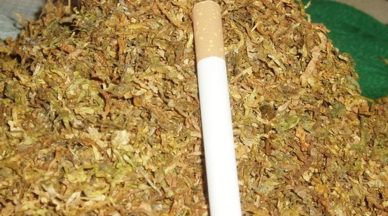 Ченгетата претърсиха дома на жена в Монтанско кътала ттютюн и