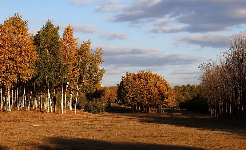 До края на седмицата: Времето се затопля, мъглите се вдигат