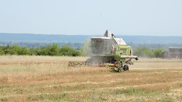 С по добри резултати от миналата година завършва жътвената кампания във