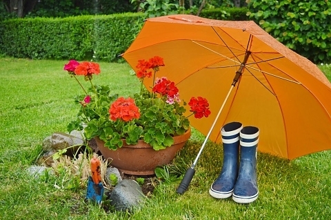 До края на седмицата времето ще остане хладно с по