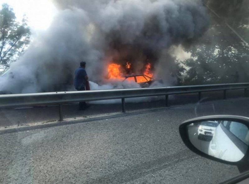 Ужасяващ инцидент е станал вчера във Видинско научи агенция BulNews