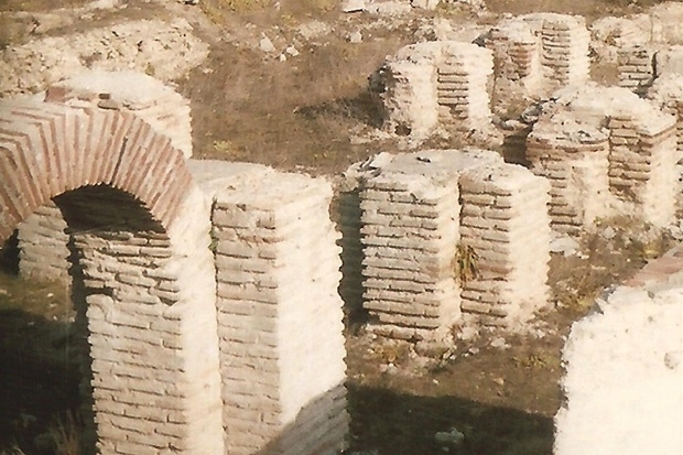 Д Д 31 г и Е Б 26 г от видинското село Арчар били