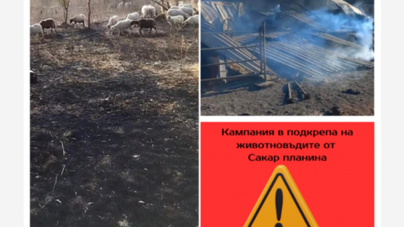 Земеделци от Видинско ще помагат на фермери, пострадали от пожарите