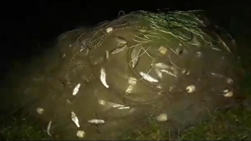 Тази нощ е проведена съвместна акция на язовир Кула В