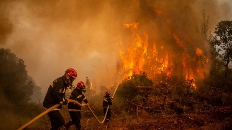 Пожарникари от Монтана гасиха над 10 пожара съобщиха от полицията