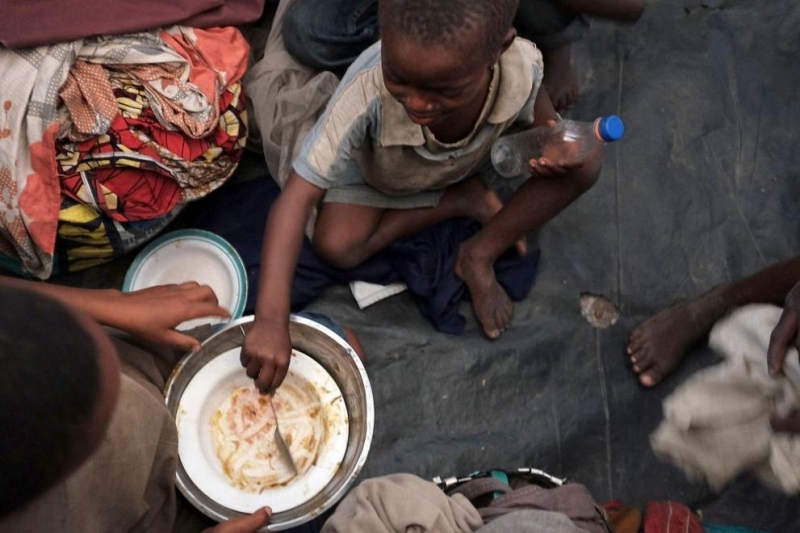 Световната продоволствена програма на ООН WFP ще намали почти наполовина