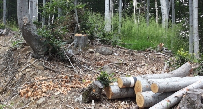 Пребиха служител на Държавното ловно стопанство в Шерба съобщиха от Североизточно държавно