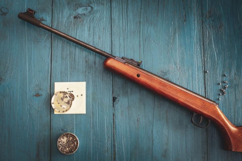 31 годишен мъж който прострелял котка е задържан от служители на